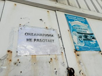 Мурманский океанариум.