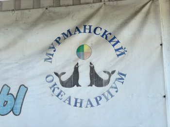 Мурманский океанариум.