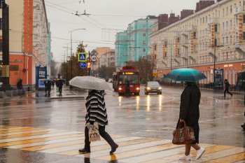 Прохожие с зонтами на пешеходном переходе