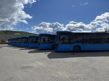 Новые автобумы в Мурманской области