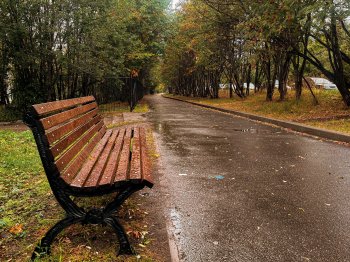 Скамейка на улице под дождём