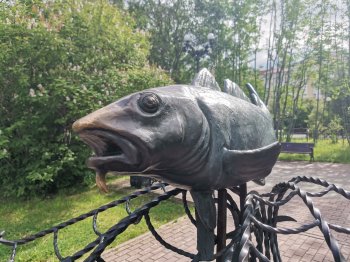 Памятник треске.