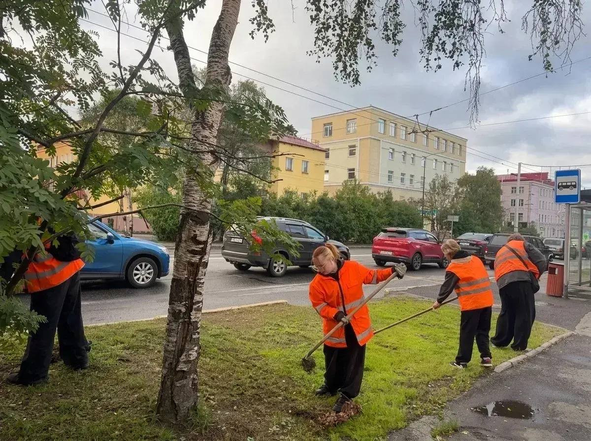 Уборка скошенной травы на газонах в Мурманске