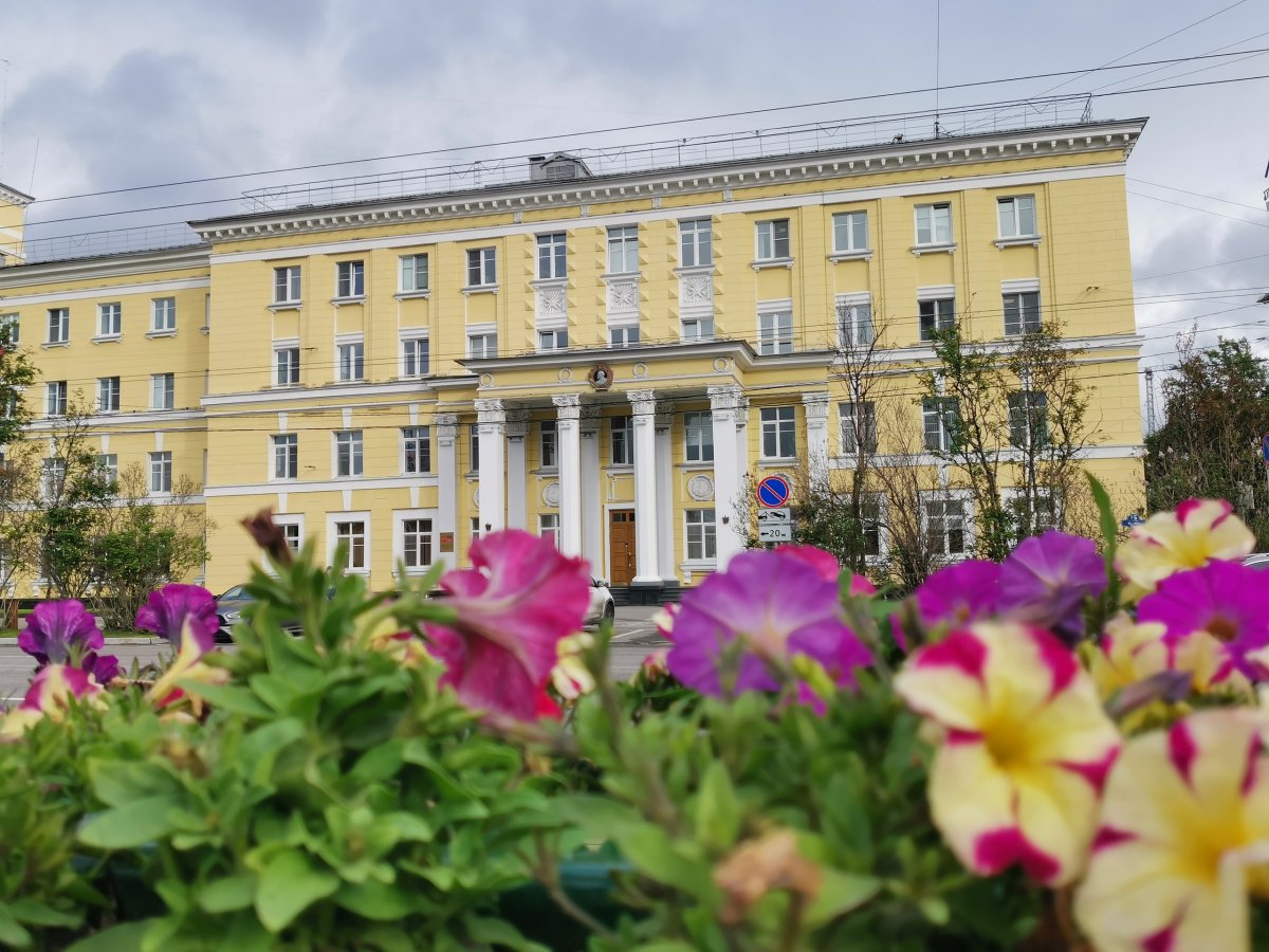 ЦВеты перед правительством Мурманской области