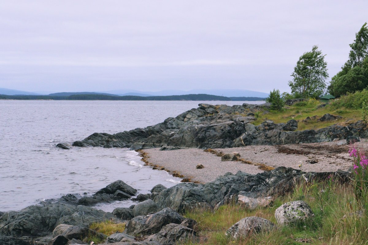 Берег белого моря в пасмурную погоду.
