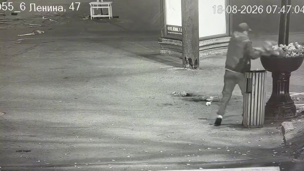 Вандал уничтожает клумбу в Мурманске