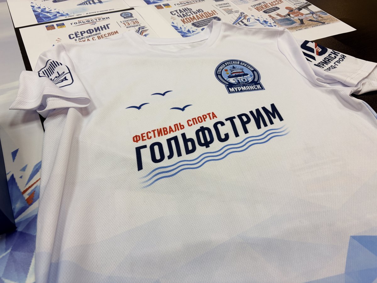 Футболка для фестиваля.