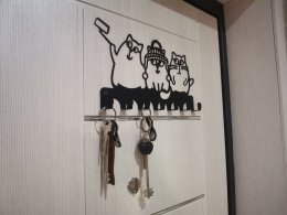 Ключи от квартиры на ключнице