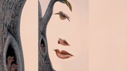 Лица или птица. Что увидели первым? Психологический тест.