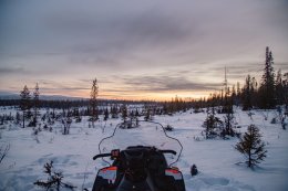 снегоход и природа Мурманской области