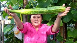 Женщина с гигантским огурцом.