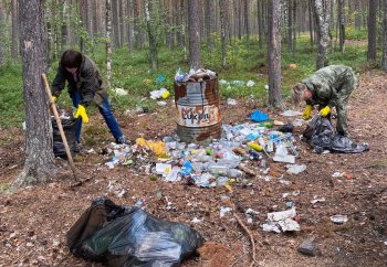 Уборка леса от мусора в Мурманской области