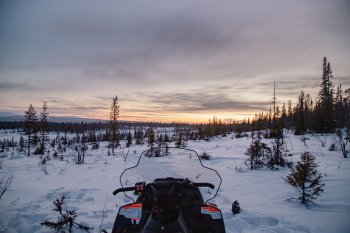 снегоход и природа Мурманской области