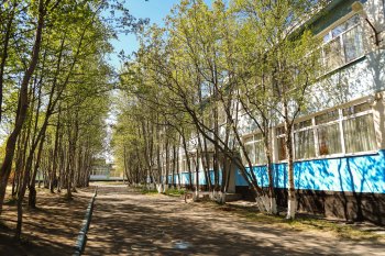 Детский сад летом