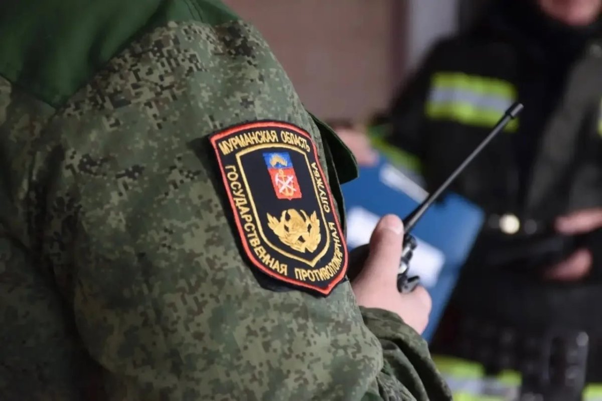 Шеврон сотрудника пожарной охраны в Мурманской области