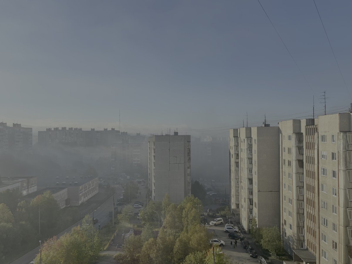 ТУман утром