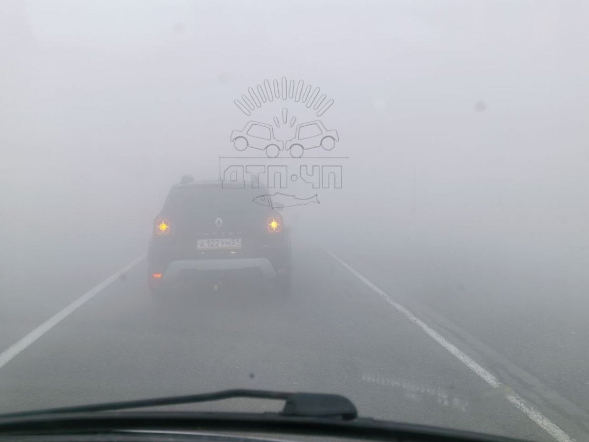 Машины в тумане.