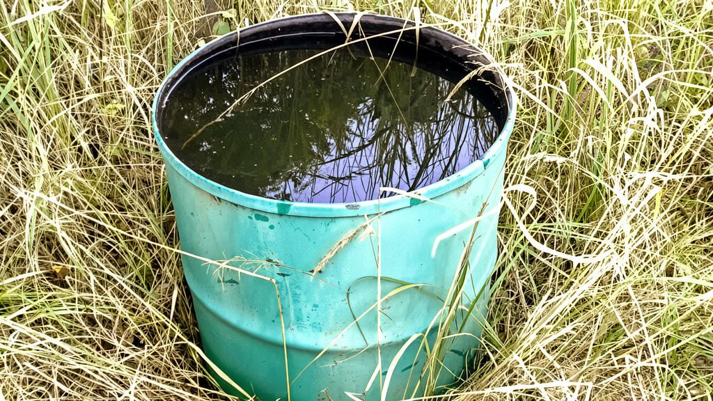 Дачная бочка с водой.