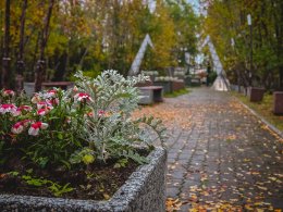 цветы в Мурманске