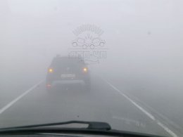 Машины в тумане.
