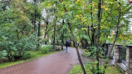 дождь в Мурманске
