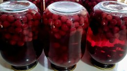 Компот из вишни