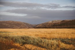 природа Мурманской области осенью