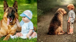 Собаки и дети