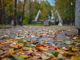 осень в Мурманске
