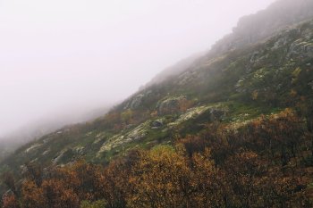 Природа Мурманской области