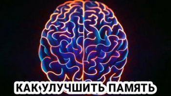 Упражнения для ума