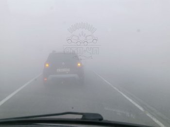 Машины в тумане.