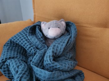 Игрушка в пледе.