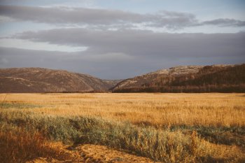 природа Мурманской области осенью