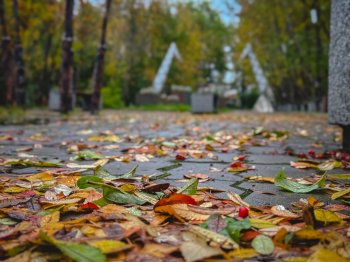 осень в Мурманске