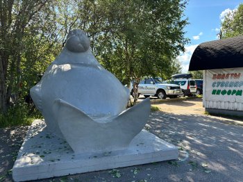 Мурманский океанариум