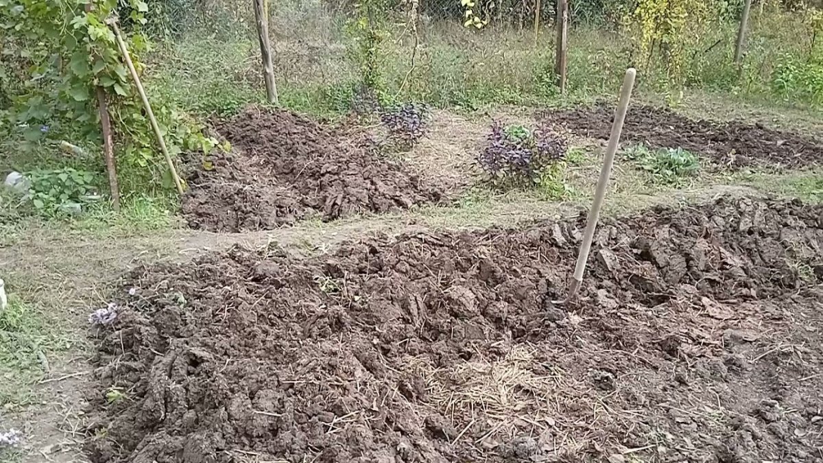 Готовим грядки к зиме.