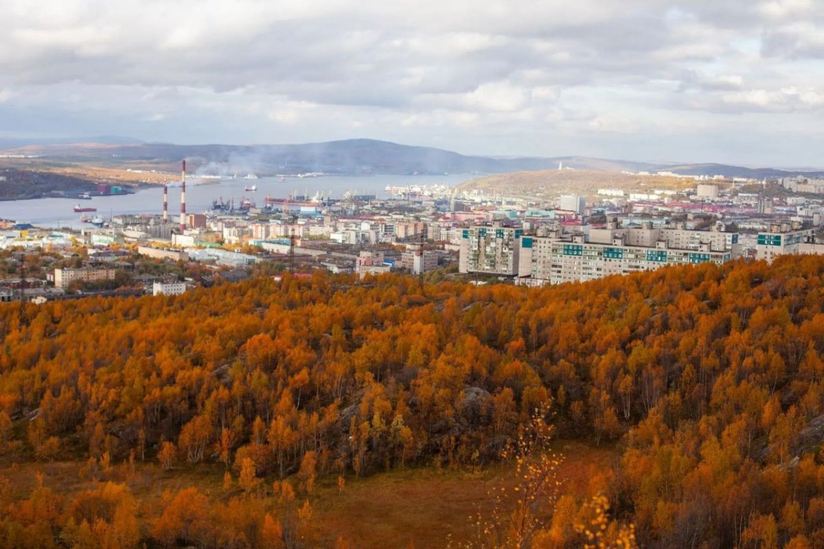 город Мурманск