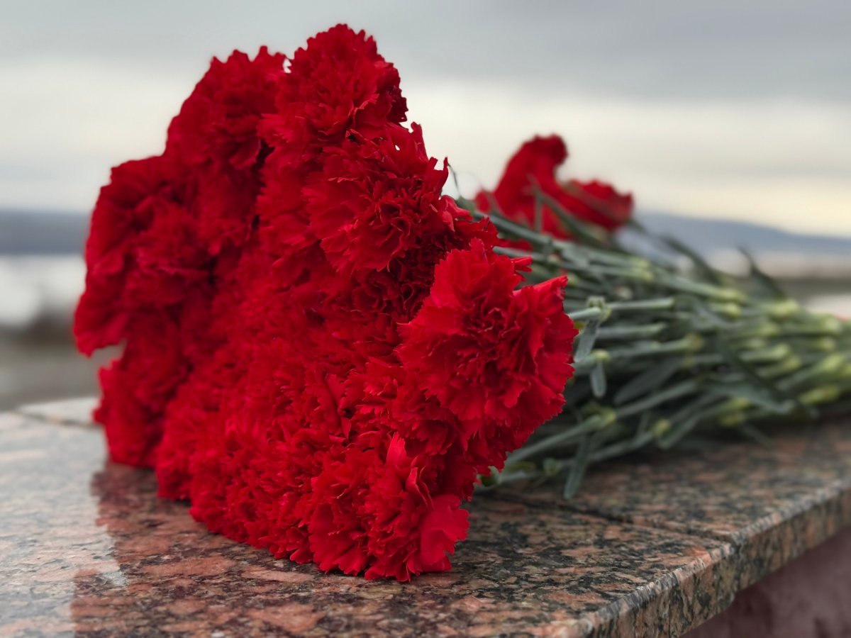 Гвоздики на гранитной плите