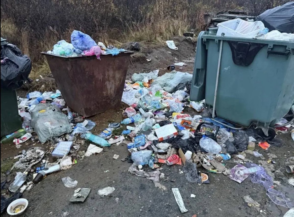 Свалка у Кольском округе