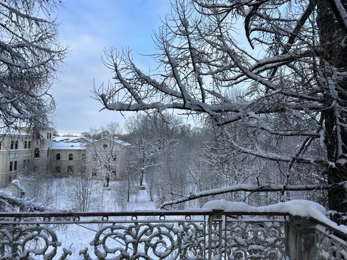 Выходные на природе.