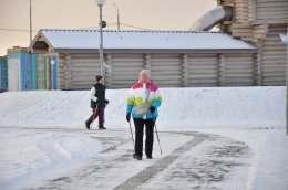 Любительница северной ходьбы в Коле