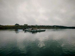 Место выращивания рыбы.