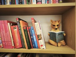 Книжная полка.