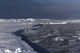 Молодые льды на трассе Севморпути
