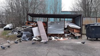 мусорная площадка в Мурманске