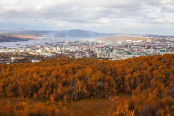 город Мурманск