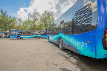 автобусы в Мурманске