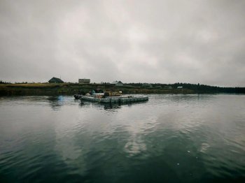 Место выращивания рыбы.