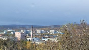 Кола